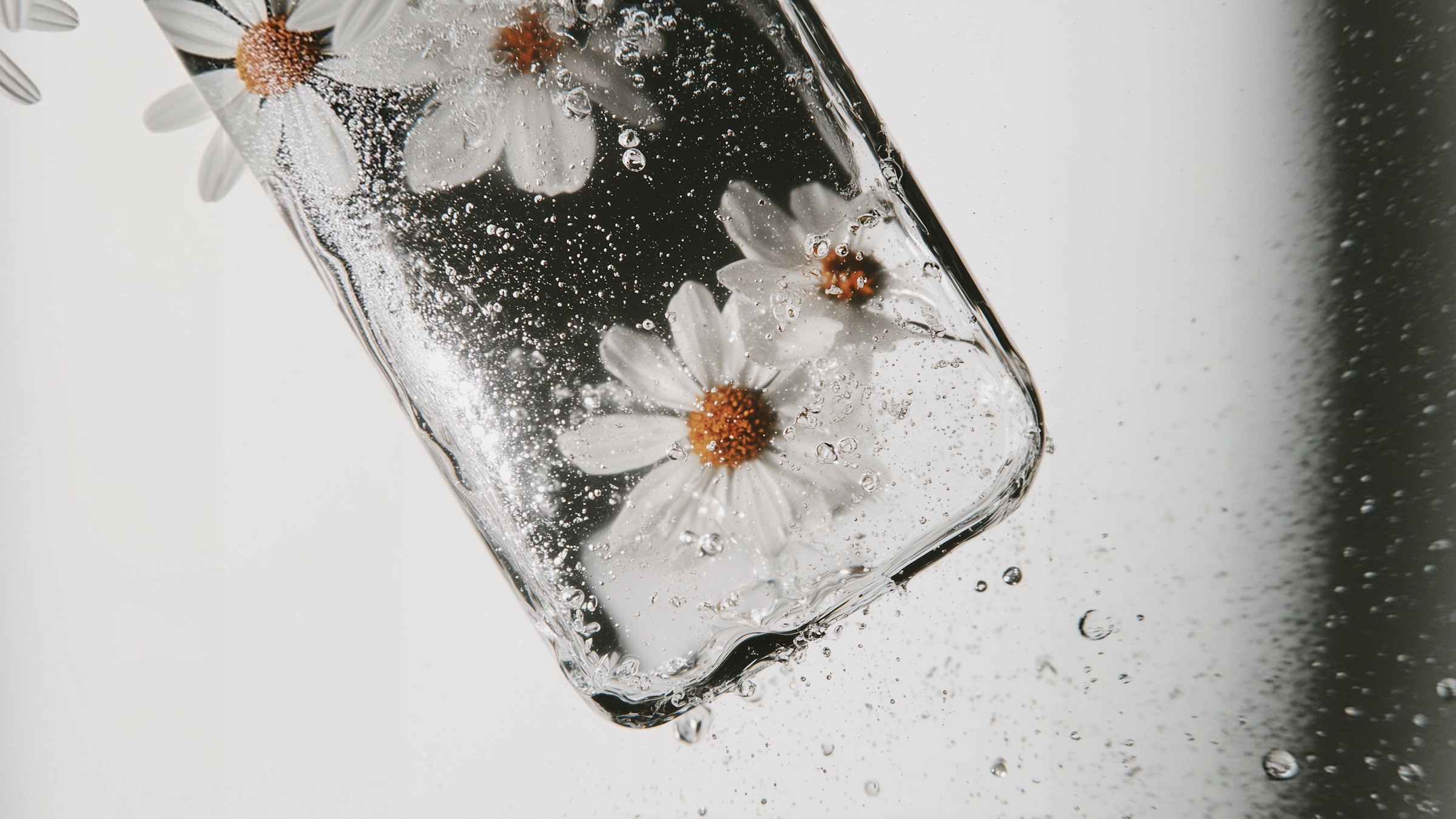 Des pâquerettes et des gouttes d'eau dans une vitrine en forme de téléphone.